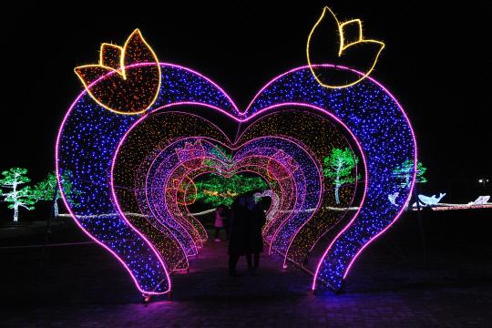 안면도 꽃지 해안공원에 위치한 코리아플라워파크의 빛축제 모습
