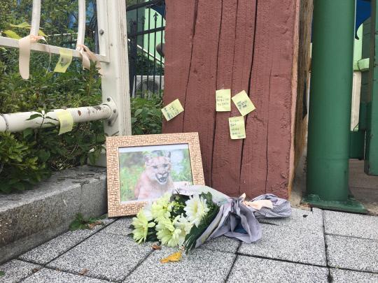 대전 오월드 정문 입구에 마련된 동물 위령비에 퓨마 뽀롱이 사살을 안타까워 하는 글과 꽃이 놓여져 있다. 사진=원세연 기자
