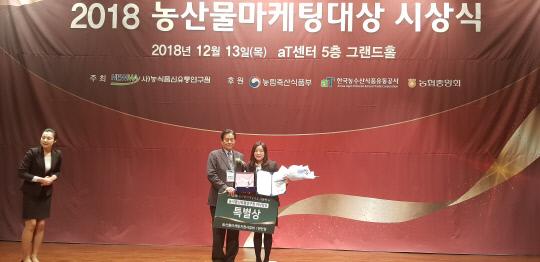 충남도는 지난 13일 서울 aT센터에서 열린 `2018 농산물 마케팅 대상` 시상식에서 지자체부문 대상을 수상했다. 사진=충남도 제공

