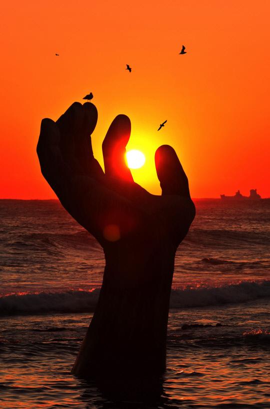포항시 호미곶 해돋이광장에 설치된 상생의 손 너머로 장엄한 해가 떠오르자 갈매기들이 춤을 추며 일출을 맞이하고 있다.이채근 기자