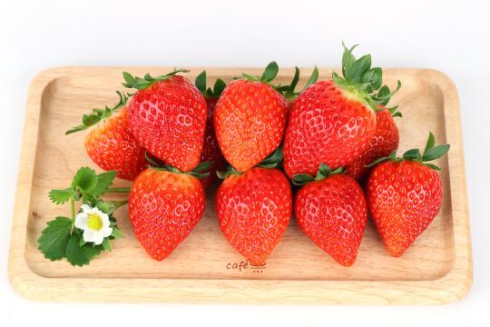 올해 시범사업으로 육성되는 딸기 신품종인 `아리향`.
사진=농진청 제공
