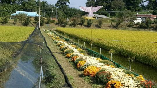 전국 최초로 유기농특구로 지정된 홍성군의 농촌마을. 사진=홍성군 제공
