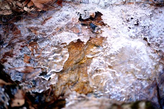 13일 계룡산 수통골  계곡의 얼음이 녹아 물이 흐르고 있다.  빈운용 기자 
