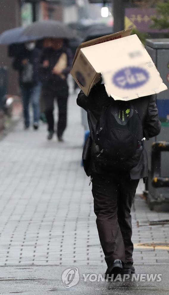 20일 오후 서울 종로구의 거리에서 우산을 미처 준비하지 못한 시민이 박스를 뒤집어 쓰고 길을 지나고 있다.  [연합뉴스]