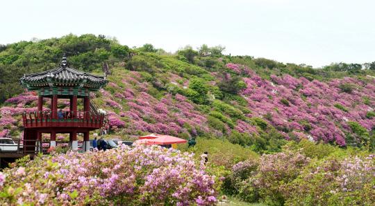 한우산 철쭉과 한우정. 사진=경남신문 제공

