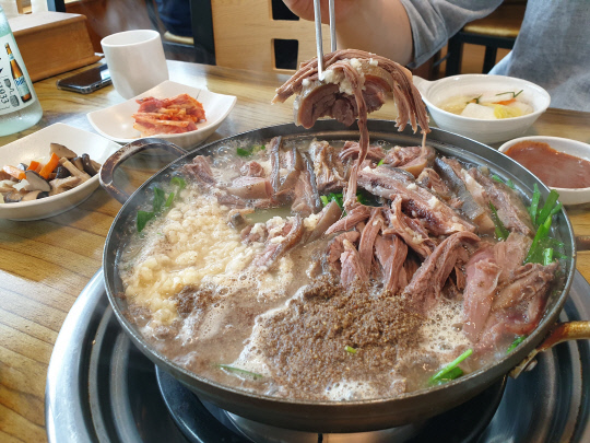 초복을 하루 앞둔 11일 대전 서구의 한 염소요리 전문점에서 한 시민이 보양식으로 염소전골을 먹고 있다. 사진=김성준 기자
