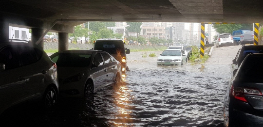15일 오후 2시쯤 대전 동구 대동천에 폭우가 쏟아져 하상주차장에 주차해둔 차량 60여 대가 물에 잠겼다. 사진=대전시 제공
