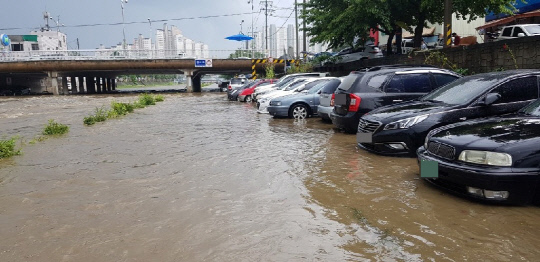 15일 오후 2시쯤 대전 동구 대동천에 폭우가 쏟아져 하상주차장에 주차해둔 차량 60여 대가 물에 잠겼다. 사진=대전시 제공

