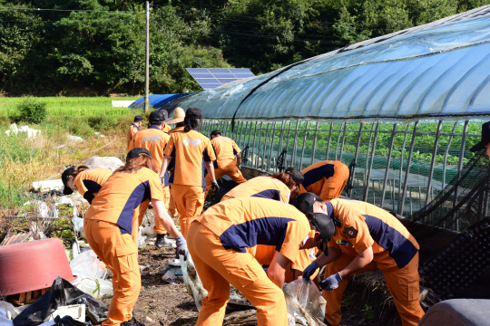 계룡소방서 직원들이 태풍 피해 농가 일손돕기에 나서 구슬땀을 흘리고 있다. 사진=게룡소방서 제공
