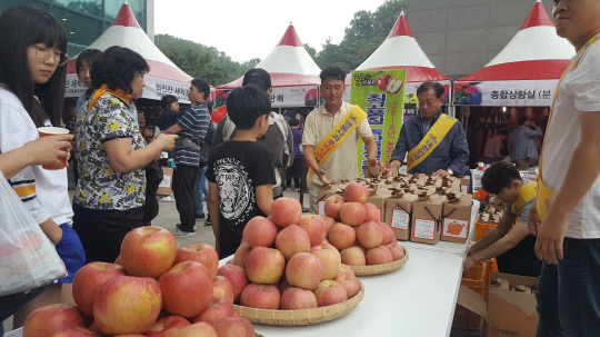 지난 4-6일 3일간 열린 제10회 대한민국 와인축제에서 국내육성품종 사과들을 홍보하고 있다. 사진= 영동군 제공.
