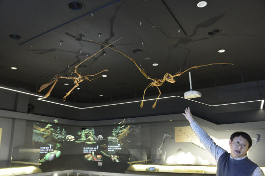 원상호 학예사가 진주의룡박물관에 설치된 익룡에 대해 설명하고 있다. 사진=이현근 기자 
