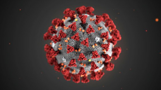 미국 조지아주 애틀란타 질병통제연구소(CDC)가 공개한 신종 코로나바이러스(2019 Novel Coronavirus) 구조적 모습을 형상화한 이미지. /자료=로이터 연합뉴스
