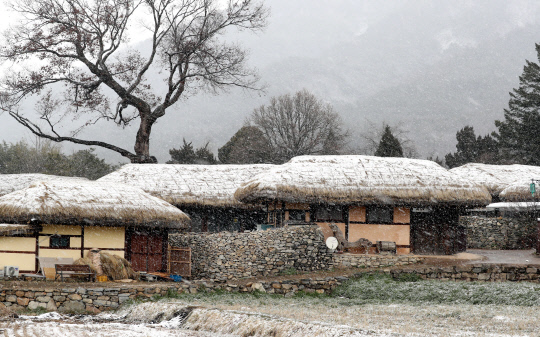 16일 충남 아산시 송악면 외암민속마을 초가집 지붕에 하얀 눈이 쌓여 한폭의 수묵화를 만들고 있다. 빈운용 기자
