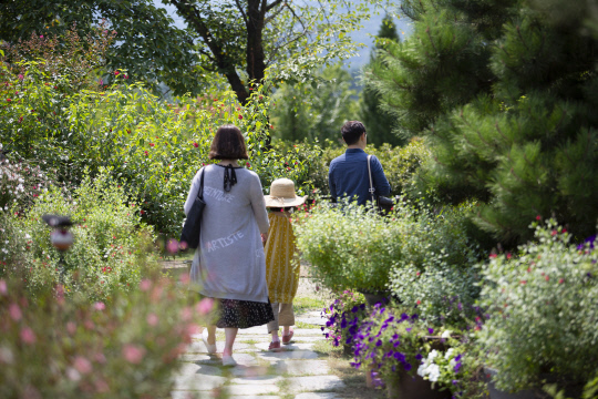 남한강 변 들꽃을 만날 수 있는 `양평 들꽃수목원` [사진=경기관광공사]
