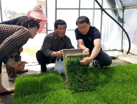 태안군 농업기술센터는 지난달 27일부터 5월 31일까지 영농종합상황실을 운영해 영농현장 중점 지도에 나서고 있다.사진=태안군 제공
