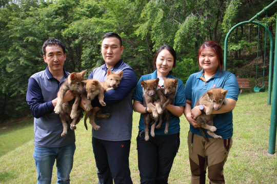 지난 4월 대전오월드에서 태어난 한국늑대 새끼들이 사육사들과 기념촬영하고 있다. 사진=대전도시공사 제공
