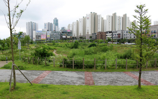 천안시가 공영주차장 건설을 검토하고 있는 천안시 불당동 물총새공원의 모습. 사진=윤평호 기자
