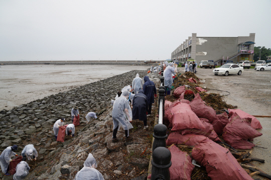 홍성군 공무원과 지역주민들이 7일 서부면 해안가에서 쓰레기 수거를 하고 있다. 사진=홍성군 제공
