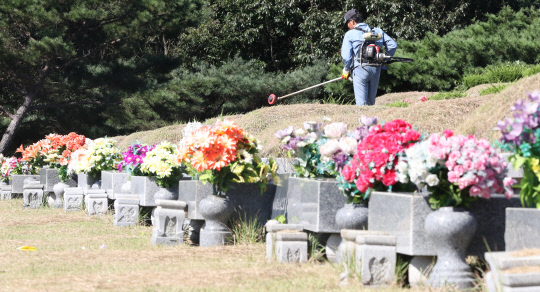 추석명절을 앞두고 13일 세종시 장군면 대전공원묘원에서 관계자들이 벌초를 하고 있다. 신호철 기자
