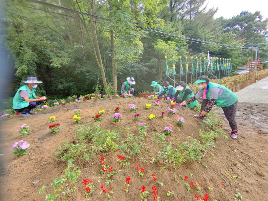 괴산군 장연면 새마을남녀지도자협의회 회원 10여명이 아름다운 마을 경관조성을 위한 `아름다운 마을 꽃길 가꾸기` 행사를 하고 있는 모습          사진=괴산군 제공
