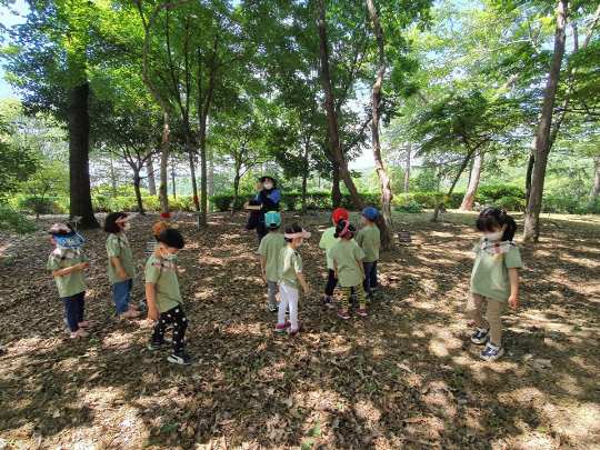 국립산림과학원 숲 교육프로그램 운영 모습. 사진=국립산림과학원 제공
