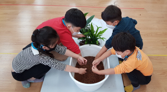 옥천삼양유치원 유아들이 초록정원꾸미기 원예활동을 펼치고 있다. 사진=옥천교육지원청 제공
