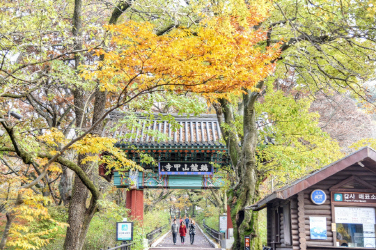 공주시는 한국관광공사에서 선정한 `2020 가을 비대면 관광지 100선`에 갑사가 선정됐다.
