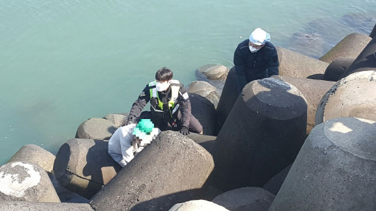 지난 3월 8일 오전 11시 20분쯤 바다 낚시를 하기 위해 충남 서천군 홍원항을 찾은 장모(38) 씨가 테트라포드에서 추락해 보령해경의 구조를 받고 있다. 사진=보령해양경찰서 제공
