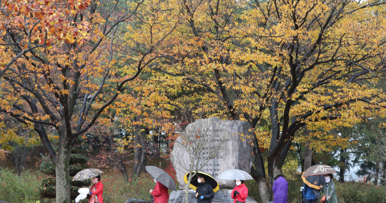 가을비가 내린 1일 대전 유성구 국립대전현충원 보훈둘레길을 찾은 시민들이 가을 정취를 느끼며 산책하고 있다. 신호철 기자

