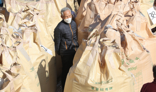 대전지역 첫 추곡수매가 실시된 5일 대전 유성구 대전시농업기술센터에서 한 농민이 쌀 포대를 바라보며 등급확인을 기다리고 있다. 신호철 기자
