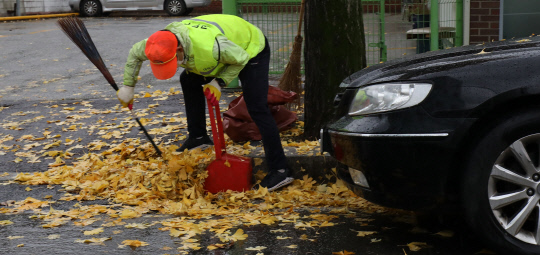 전국적으로 강한 가을비가 내린 19일 오전 대전 대덕구청 인근 도로에서 환경미화원이 배수구 주변에 쌓인 낙엽을 치우고 있다. 신호철 기자
