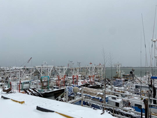 서해안에 지난 29일부터 강풍과 함께 많은 눈이 내려 어선들이 조업을 중단한채 모두 대천항에 정박해 있다. 사진=보령해경 제공
