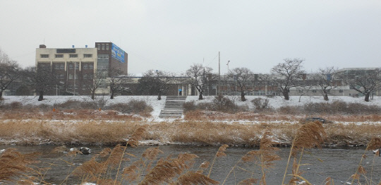 30일 오전 청주 무심천에 눈이 내리면서 겨울 풍경을 연출하고 있다. 사진=김진로 기자
