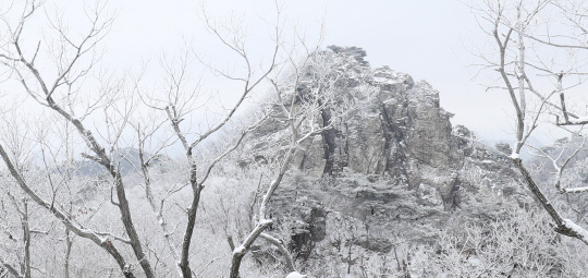 첫날부터 많은 눈이 내려 눈꽃세상을 보여준 계룡산
