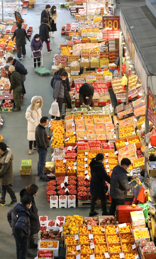설날을 10여일 앞둔 31일 오후 대전 유성구 노은 농수산물도매시장을 찾은 시민들이 청과코너에서 과일을 살펴보고 있다. 신호철 기자
