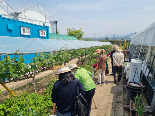 꽃 등을 활용한 원예 치료프로그램 참가 어르신들이 농장을 둘러보고 있다. 사진=충북도 제공
