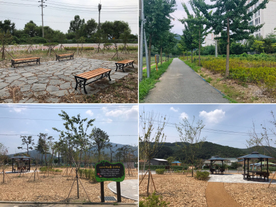 괴산군이 `2021년 도시숲 조성사업`을 완료했다.    사진 좌측 상단 복합 산림경관 숲, 우측 상단 녹색 쌈지 숲, 좌·우측 학교  숲   사진=괴산군 제공
