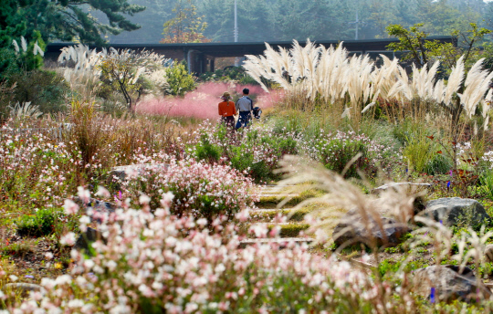 태안군 천리포수목원을 비롯한 주요 관광지가 한국관광공사 주관 `2021년 9월 추천 가볼만한 곳`으로 선정되며 가을 힐링여행의 명소로 떠오르고 있다.사진은 천리표 수목원 가을 풍경.사진=태안군 제공

