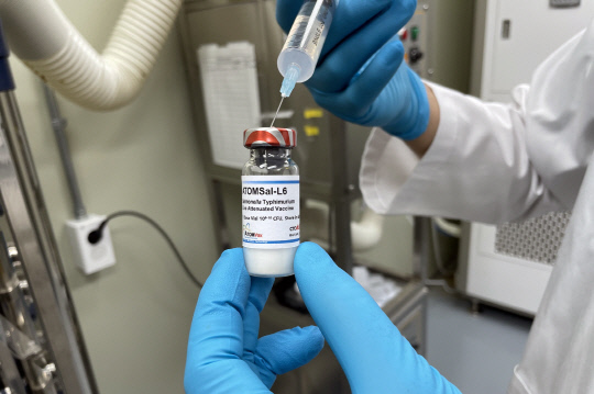 한국원자력연구원이 개발한 살모넬라 백신(ATOMSal-L6). 사진=한국원자력연구원 제공
