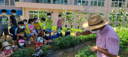 충남 서천 시초초등학교는 텃밭가꾸기를 통해 학생들이 자연과 친해질 수 있도록 돕고있다.   사진=충남교육청 제공 
