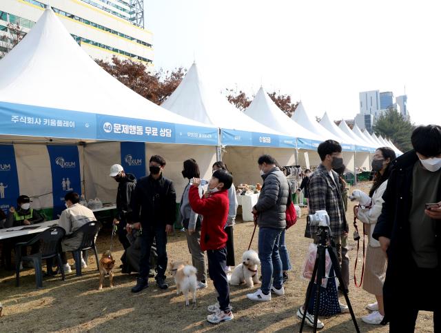 `2021 반려동물 문화축제`가 열린 14일 오후 대전 서구 보라매공원에서 시민들과 반려견들이 다양한 프로그램을 참가하며 즐거운 시간을 보내고 있다. 최은성 기자