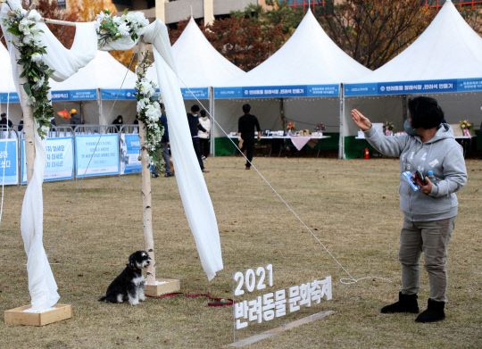 `2021 반려동물 문화축제`가 열린 14일 오후 대전 서구 보라매공원에서 시민들과 반려견들이 다양한 프로그램을 참가하며 즐거운 시간을 보내고 있다. 최은성 기자
