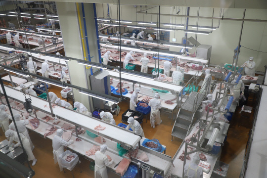 지난 21일 천안시 동남구 성남면 포크빌 축산물공판장에서 도축된 돼지가 생산과정에 투입된 가운데 정형사들이 발골작업을 하고 있다. 사진=박상원 기자 
