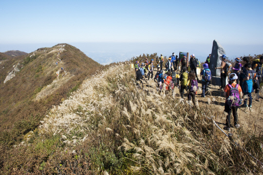 오서산 사진=보령시 제공
