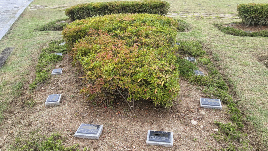 대전추모공원의 화초장지. 꽃나무 아래 분골(유골)을 모시고 간단한 표지석을 설치했다. 사진=김재근 선임기자