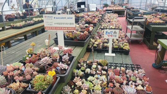 온라인 판매용이라는 팻말이 보인다. 김재근 선임기자