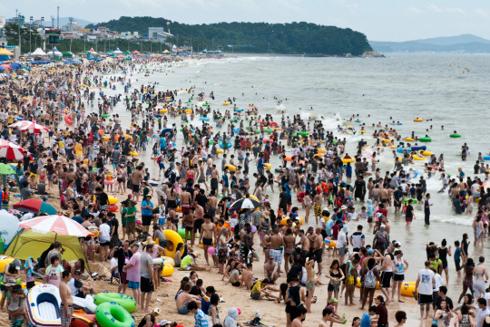대천해수욕장 전경. 보령시 제공