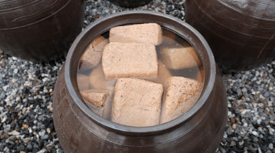 메주에 소금물을 더해 된장을 담그는 모습. 사진=아나농 제공