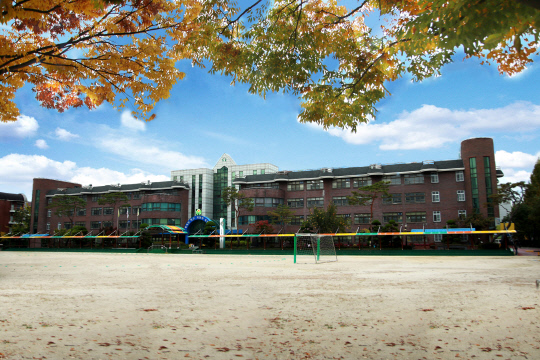 대전교육청이 적정규모학교 육성사업의 일환으로 소규모학교인 대전성천초와 인근 성룡초 통폐합 사업을 추진하고 있다. 사진은 성천초 전경. 대전교육청 제공