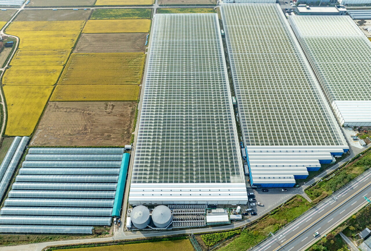 농업농촌, 어촌어업은 인구감소와 고령화, 이상기후 등으로 위기에 직면한 상황이다. 농업의 경우 국민 먹거리 생산과 식량주권은 물론, 지속가능성을 담보하기 위해 스마트농업과 청년농업인, 귀농귀촌에 주목하는 상황이다. 충남도는 민선8기 동안 글로벌홀티콤플렉스(서산시)와 농생명 융복합산업 클러스터(예산군) 등 스마트팜 836만 3636㎡(253만 평)를 조성할 계획이다. 지난해 말 기준 이 가운데 187만 7686㎡(56만 8000평, 22.5%)를 완료했다. 사진은 스마트팜 단지. 충남도 제공